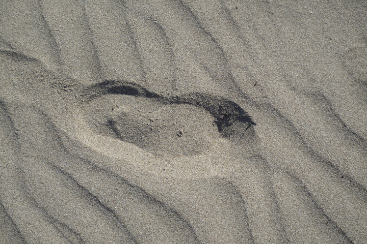 Patara (20)